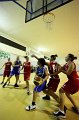 Basket 443079
